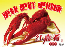 點擊查看詳細信息